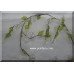 Crystal Beaded Grapes with Leaves Decorative Garland